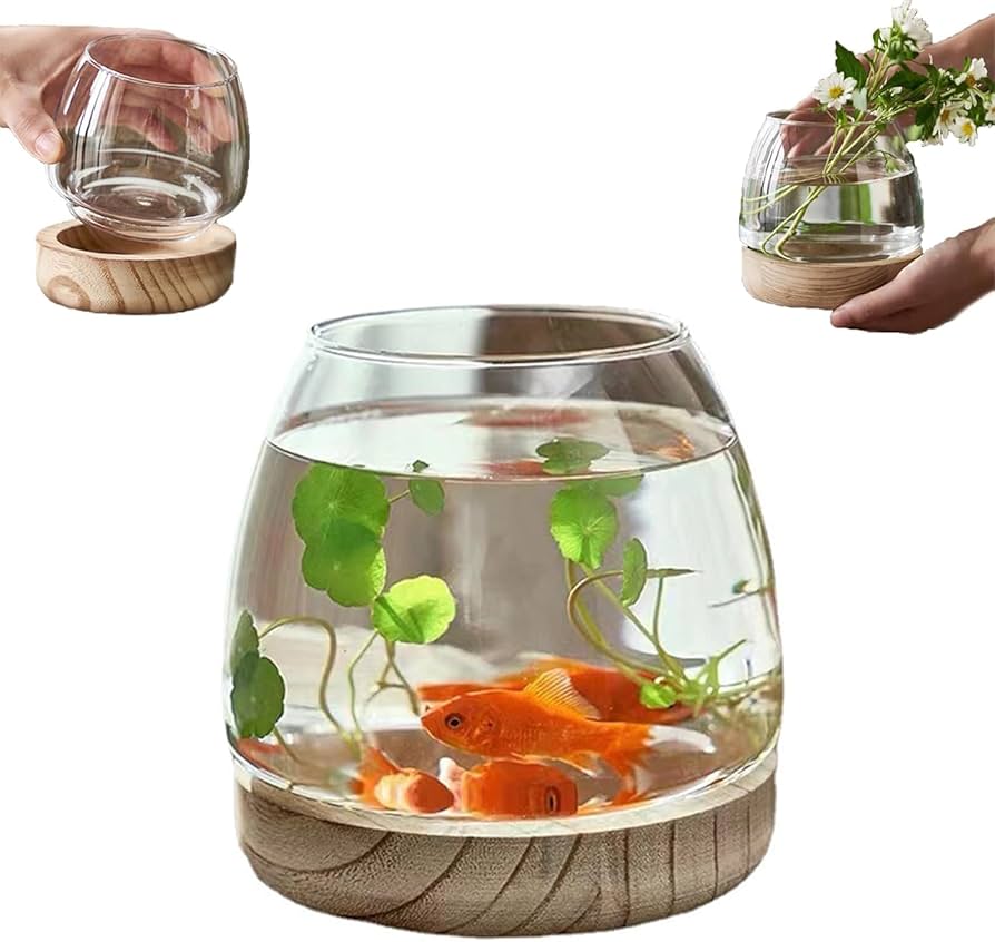 Amazon | WEIPIAO 金魚鉢 ガラス 丸 金魚 水槽 小さな魚の水槽